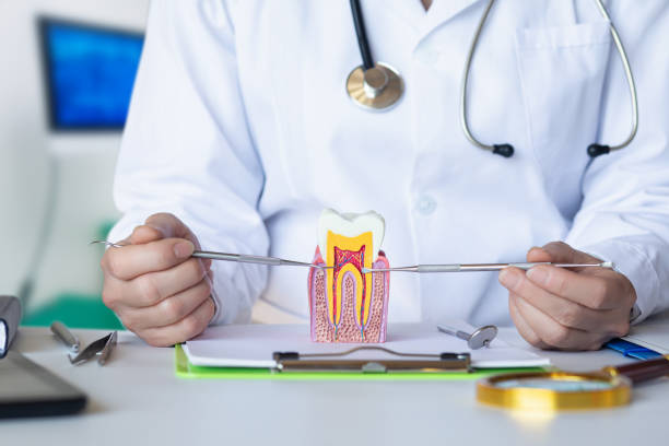 Best Chipped Tooth Repair Near Me  in Mundelein, IL